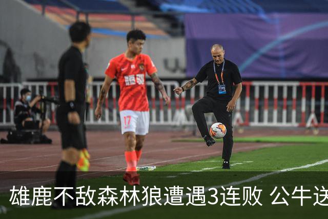 雄鹿不敌森林狼遭遇3连败 公牛送灰熊7连败